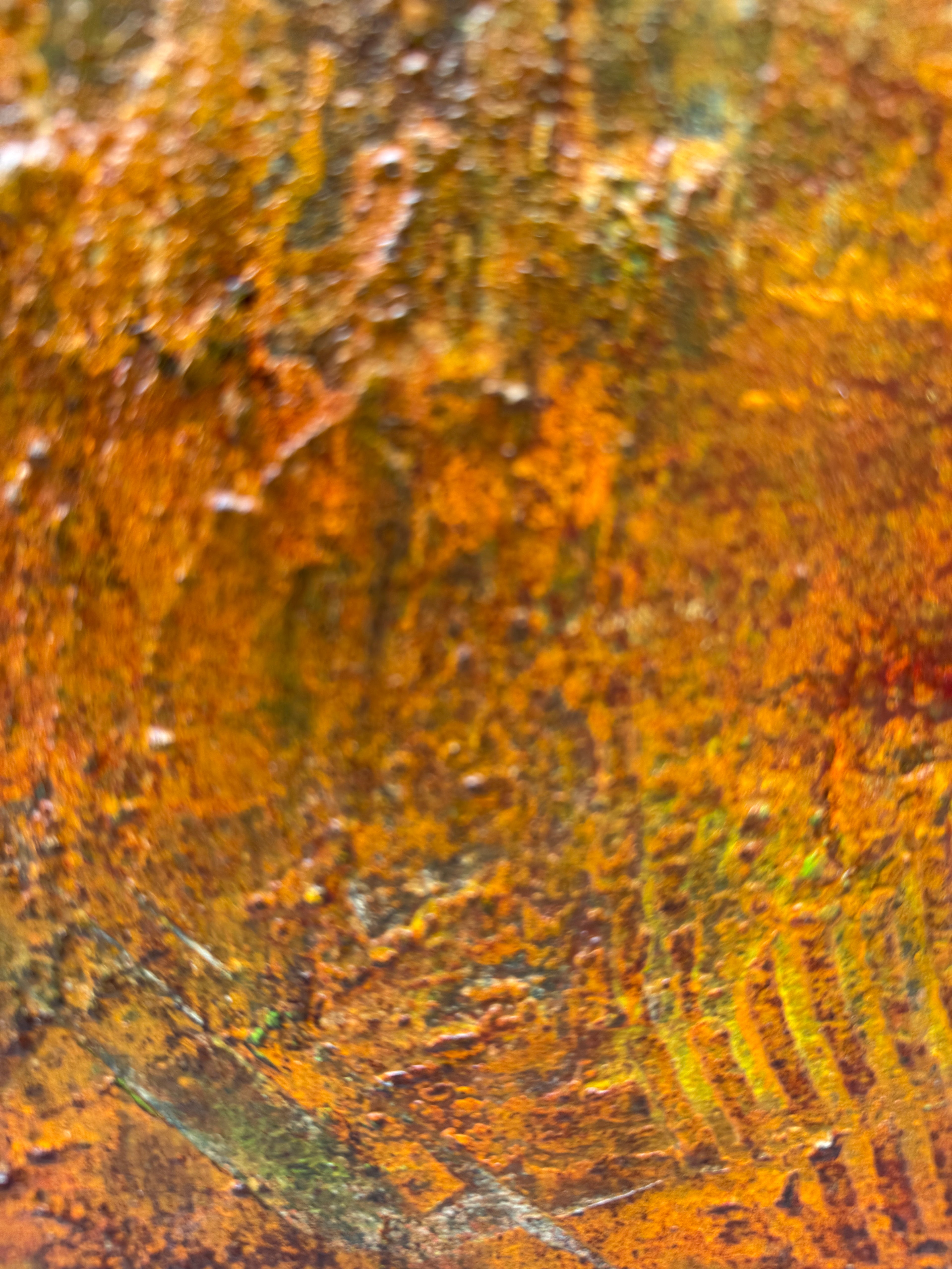 On the Edge of Fire Painting